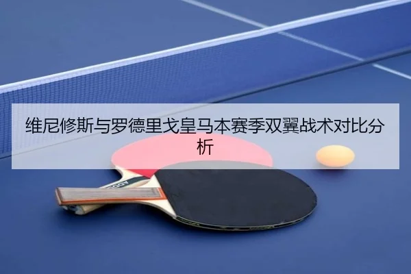 维尼修斯与罗德里戈皇马本赛季双翼战术对比分析